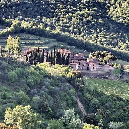 Residenza Antico Chianti Pension Panzano in Chianti Buitenkant foto