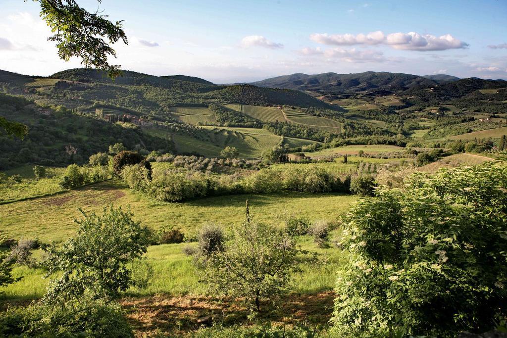 Residenza Antico Chianti Pension Panzano in Chianti Buitenkant foto